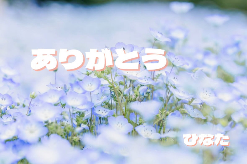 ひなたの写メ